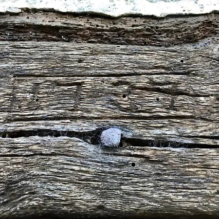 ベッド・アンド・ブレックファスト Roulage Ferme 18eme Normandie Longueville