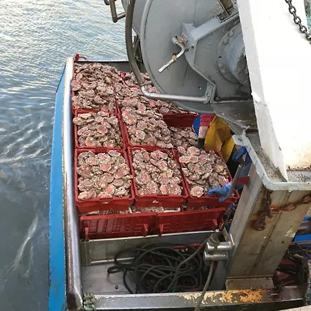 Roulage Ferme 18eme Normandie Alojamento de Acomodação e Pequeno-almoço