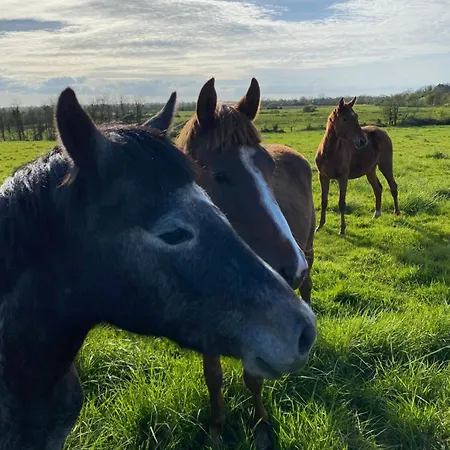 Roulage Ferme 18eme Normandie