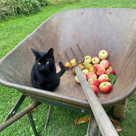 Roulage Ferme 18eme Normandie ベッド・アンド・ブレックファスト