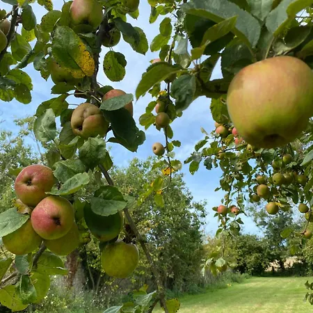 Roulage Ferme 18eme Normandie 4*