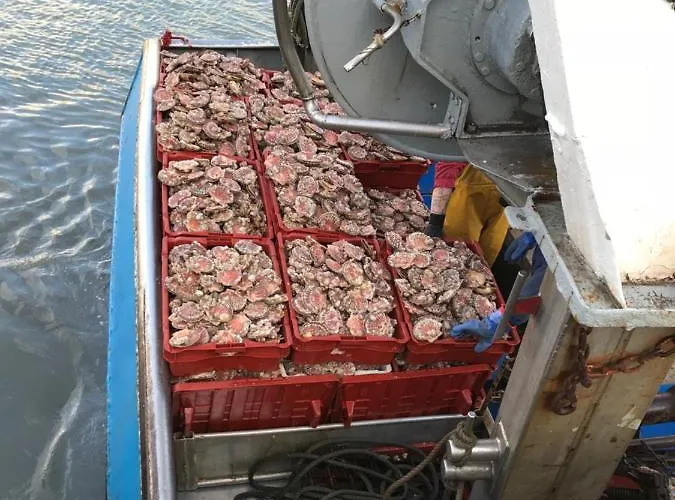 Roulage Ferme 18eme Normandie Отель типа 