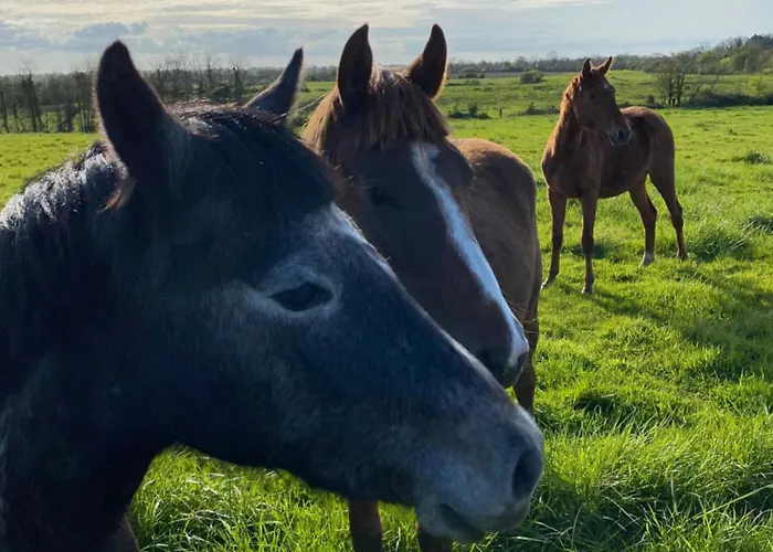 Roulage Ferme 18eme Normandie