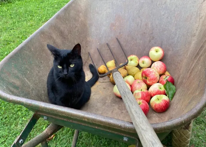 Roulage Ferme 18eme Normandie Отель типа 