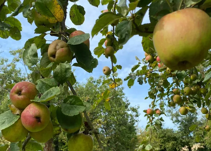 Roulage Ferme 18eme Normandie 4*